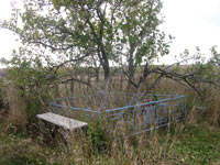 «Яблоня Джатиева»: могила, общий вид. 2010 год, октябрь.